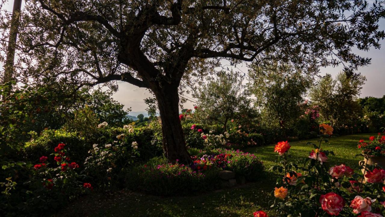 Il Casale Di Fiore Cannara Zewnętrze zdjęcie