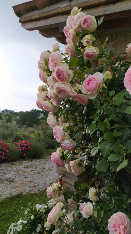 Il Casale Di Fiore Cannara Zewnętrze zdjęcie