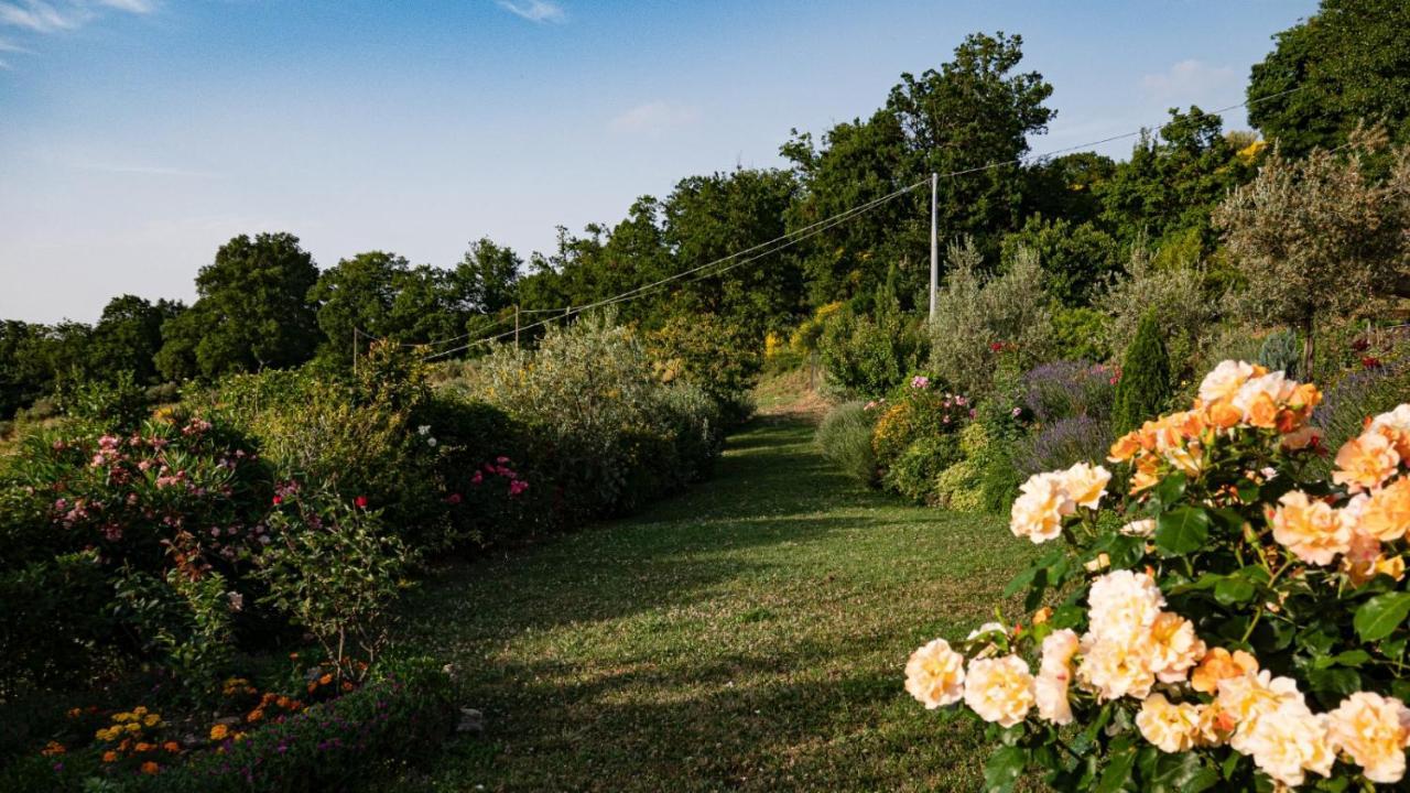 Il Casale Di Fiore Cannara Zewnętrze zdjęcie