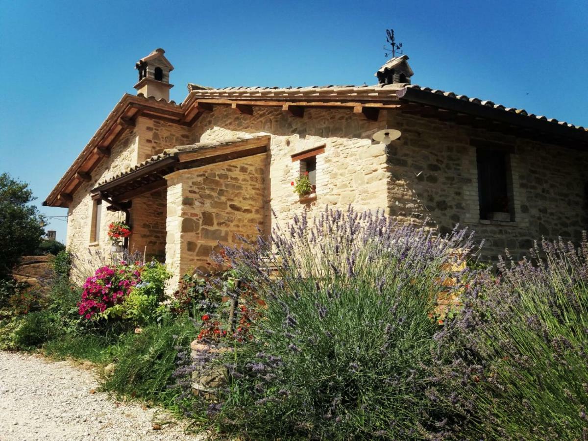 Il Casale Di Fiore Cannara Zewnętrze zdjęcie